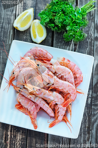 Image of shrimps