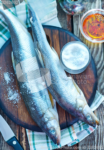 Image of fresh fish