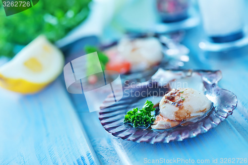 Image of scallop