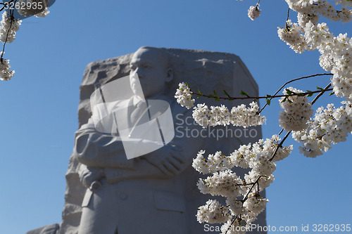 Image of Martin Luther King and the flowers