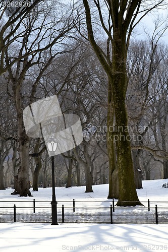 Image of Lamppost in the Snow