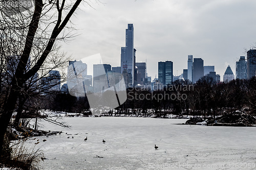 Image of Midtown in winter from Central Park