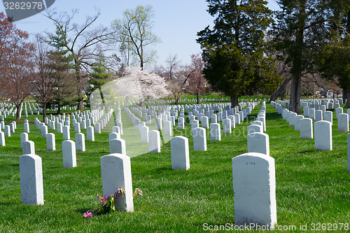 Image of Arlington Cemetery graves