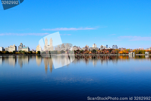 Image of Fall in Central Park