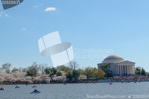 Image of Thomas Jefferson Memorial during the Cherry blossom festival