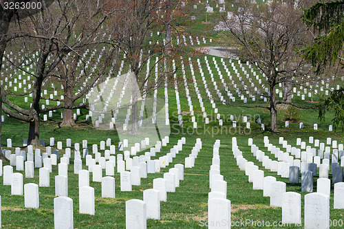 Image of White gravestones