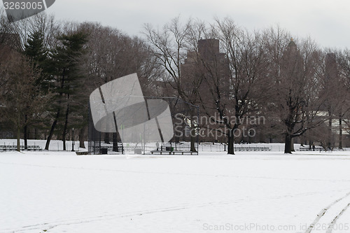 Image of Baseball in Central Park