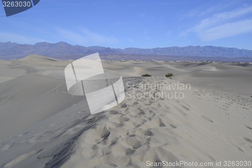 Image of Dunes in death valley