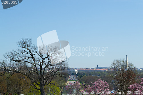 Image of DC from Arlington Cemetery 