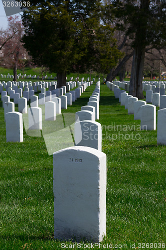 Image of Lines of gravestones