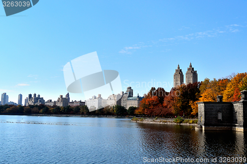 Image of Autumn afternoon in Central Park