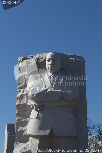 Image of Martin Luther king during the cherry blossom festival