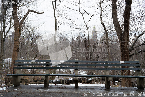 Image of Bench in Central park