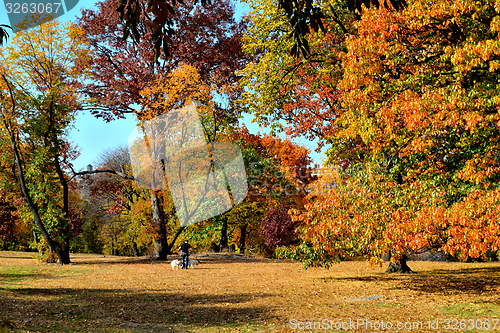 Image of Autumn colors in Central Park