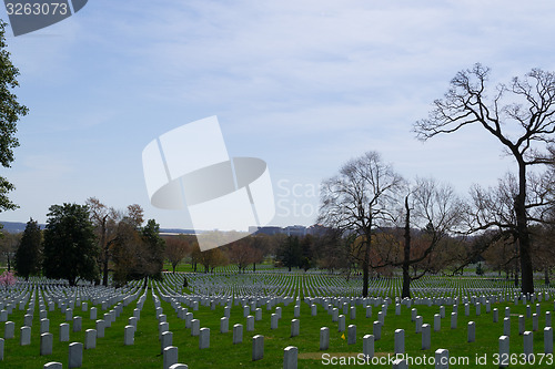 Image of Blue sky over the Arlington Cemetery 