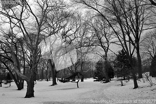 Image of Central Park covered with snow