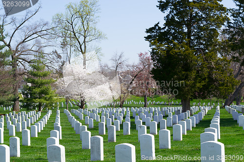 Image of Gravestones at the Arlington Cemetery 