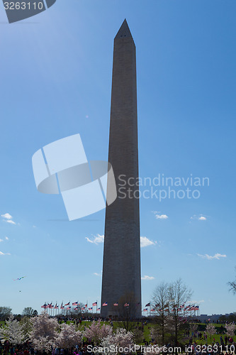 Image of Washington Memorial Ovelisk