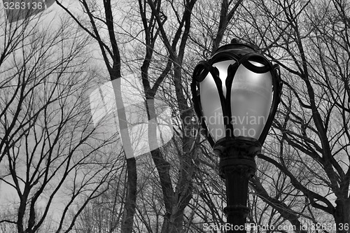 Image of Lamppost in Central Park