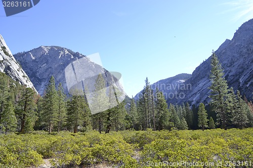 Image of Hiking in Kings Canyon