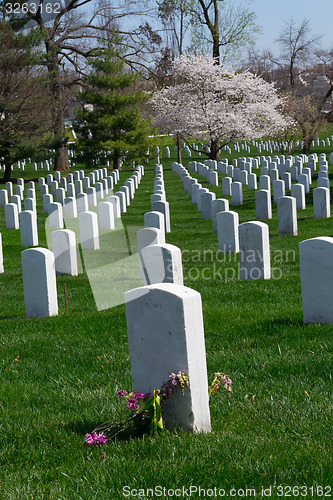 Image of Arlington Cemetery tumb