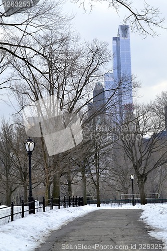 Image of Path between the snow in Central Park