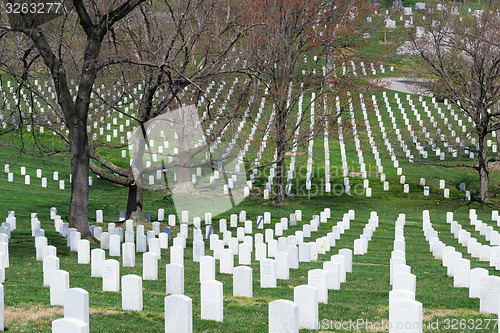 Image of Lines of tombstones