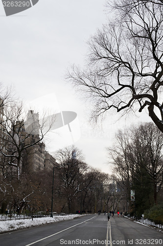 Image of Road in Central Park