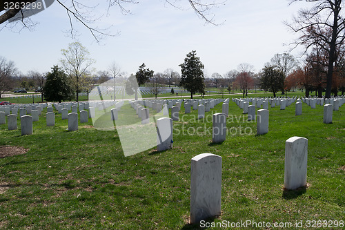 Image of Arlington Cemetery 