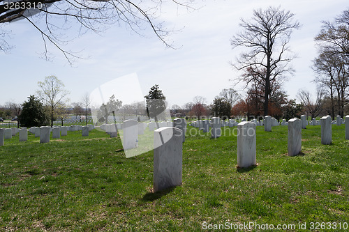 Image of Arlington Cemetery tombstones