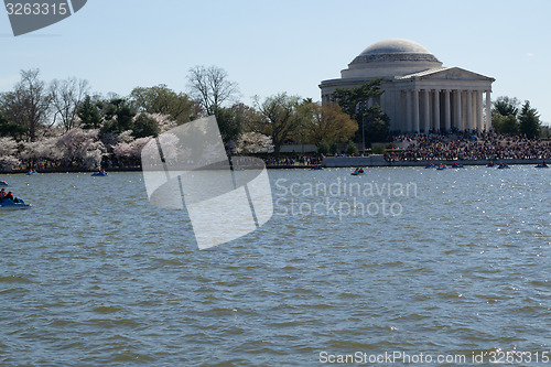 Image of Thomas Jefferson Memorial by the flowers