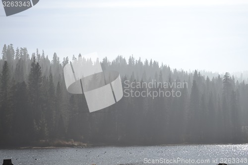 Image of Hume Lake