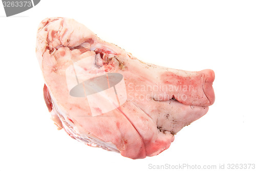 Image of raw pig head isolated 
