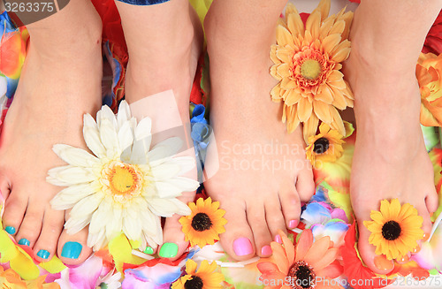 Image of pedicure nails, feet and flowers