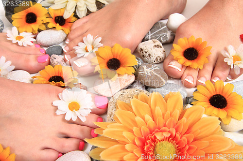Image of pedicure nails, feet and flowers