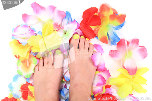 Image of women feets and flowers (pedicure tbackground)