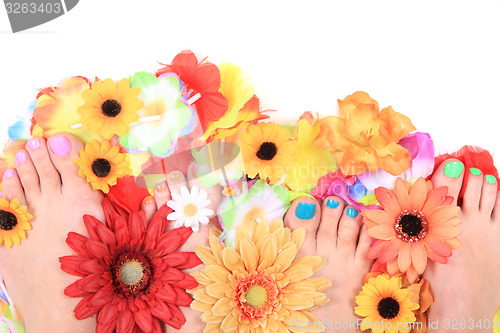 Image of women feets and flowers (pedicure tbackground)