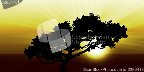 Image of Exotic sunrise or sunset