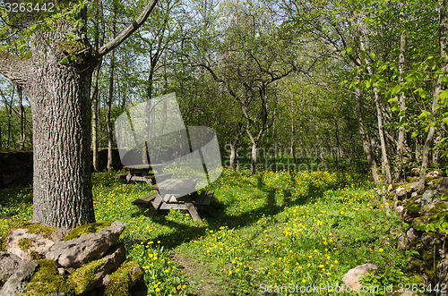 Image of Rest area at spring