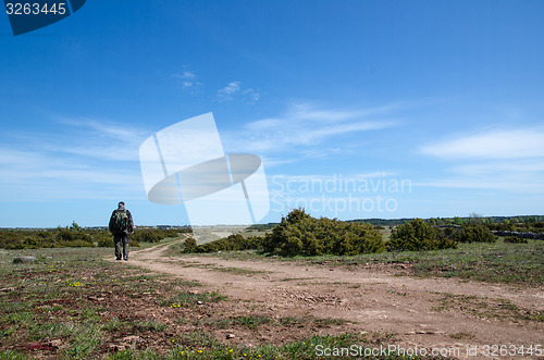 Image of Hiker at a winding trail