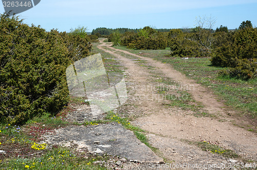 Image of Winding dirt road