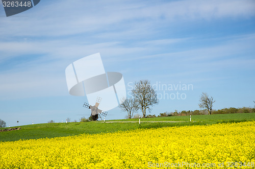 Image of Old windmill at a blossom rapeseed field