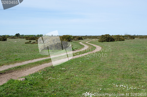 Image of Winding tracks