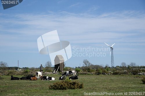 Image of Landscape with windmills