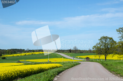 Image of Landscape in green and yellow