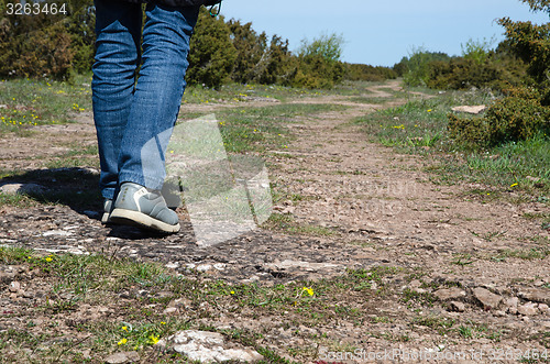 Image of Walking at a winding footpath