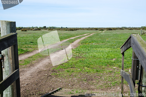 Image of Entrance to unique nature