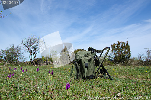 Image of Backpack in blossom nature