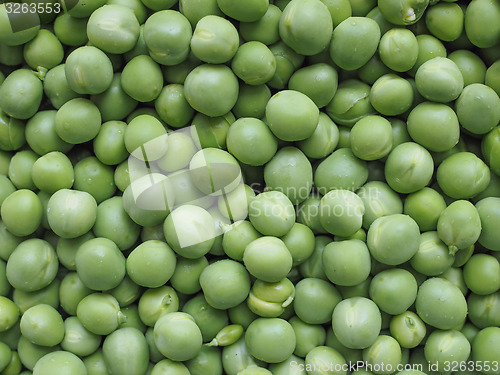 Image of Green peas vegetable background
