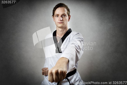 Image of Taekwon Do Master